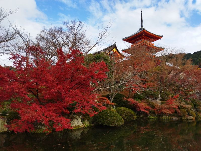 京都紅葉